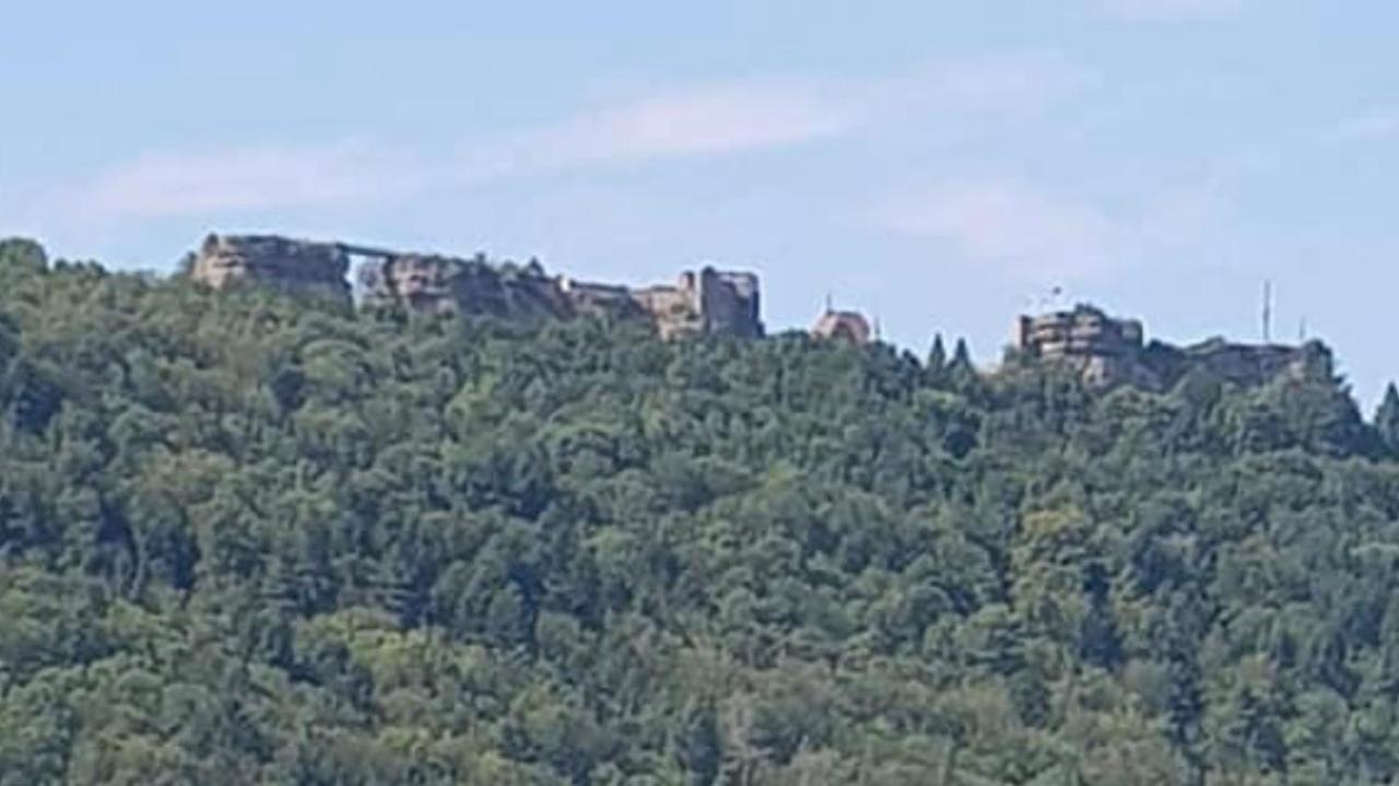 Casasavernoise O Sonho Appart2 Saverne Exterior photo